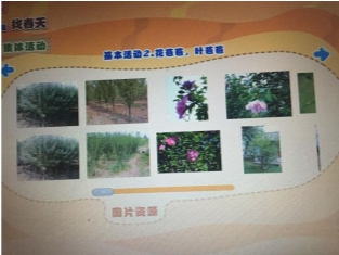 QQ图片20190228125938