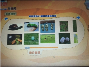 QQ图片20190228125930