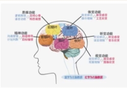 QQ图片20190530182243.jpg