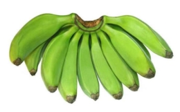 e78f84d3f2c056843e00f510b5ca64a