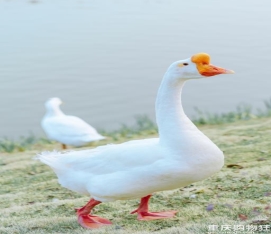 img.2144