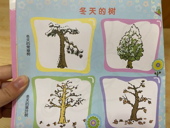 QQ图片20201231161346
