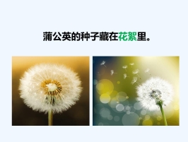 C:\Users\Administrator\Desktop\9B40ED177376C483E72E0E411BE63BA6.png9B40ED177376C483E72E0E411BE63BA6