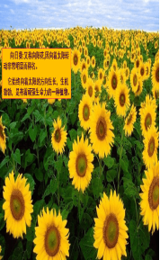 file2.renrendoc