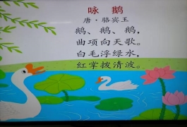 C:\Users\Administrator\Desktop\IMG_6860.JPGIMG_6860