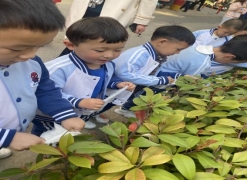 C:\Users\Administrator\Desktop\IMG_5479.JPGIMG_5479