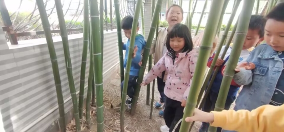 QQ图片20230419132310
