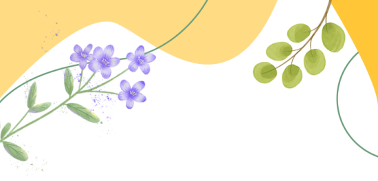 descript