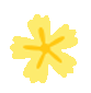 descript